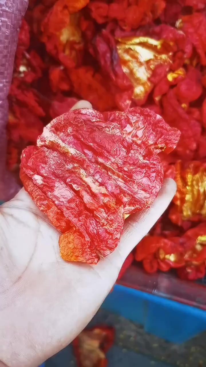 #分享家乡美食 新疆奇台县四平头辣皮子,属于菜椒,微辣肉厚,适合新疆辣皮子拌面#特产美食 