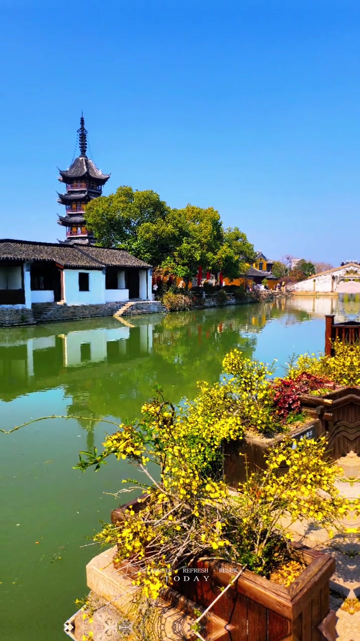 震泽古镇景美人少，豆沙馅麦芽塌塌饼超好吃