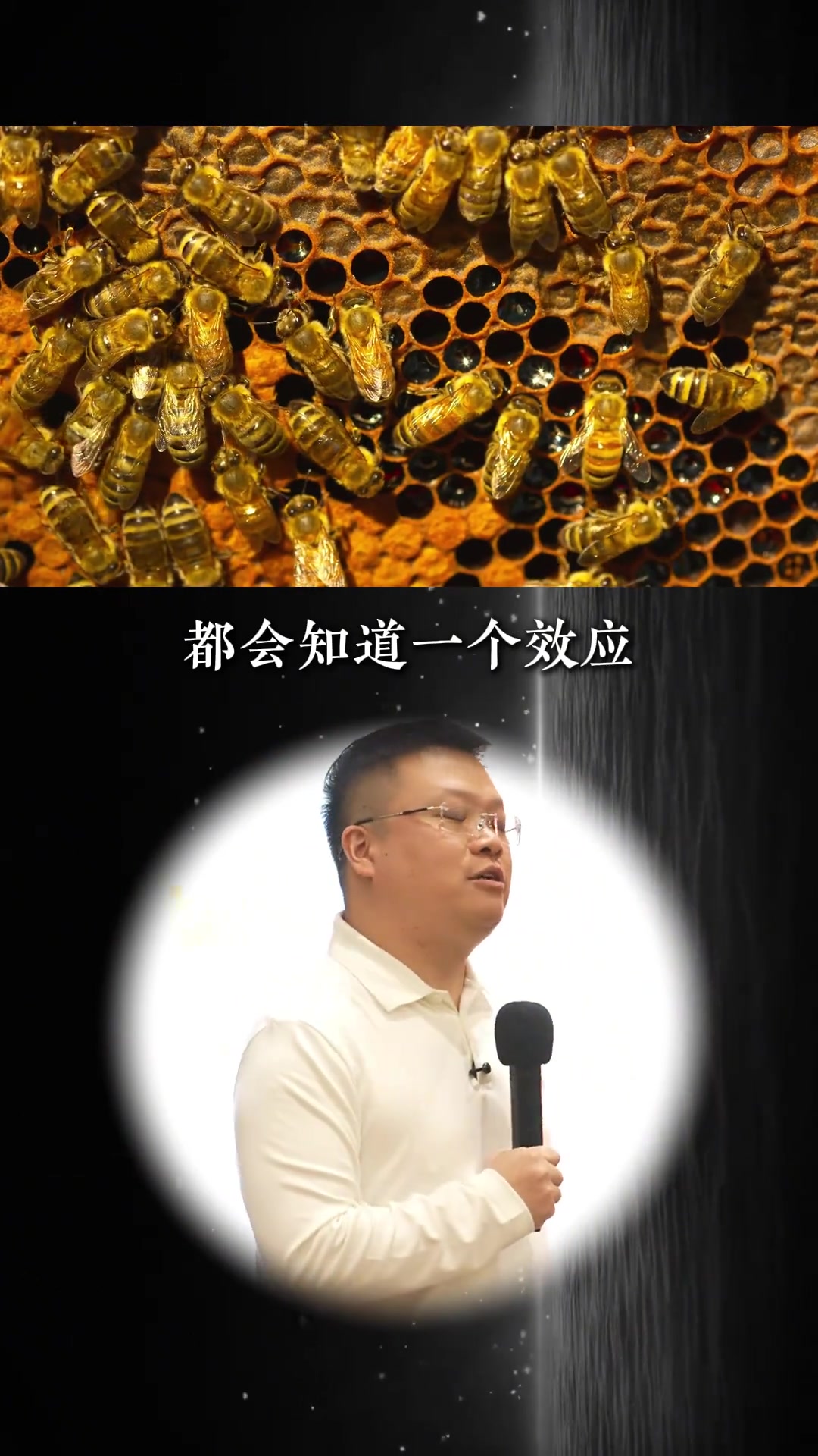 看懂沙丁鱼效应,帮企业突破困境