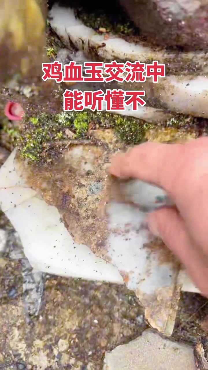 以石会友，品鉴桂林鸡血玉