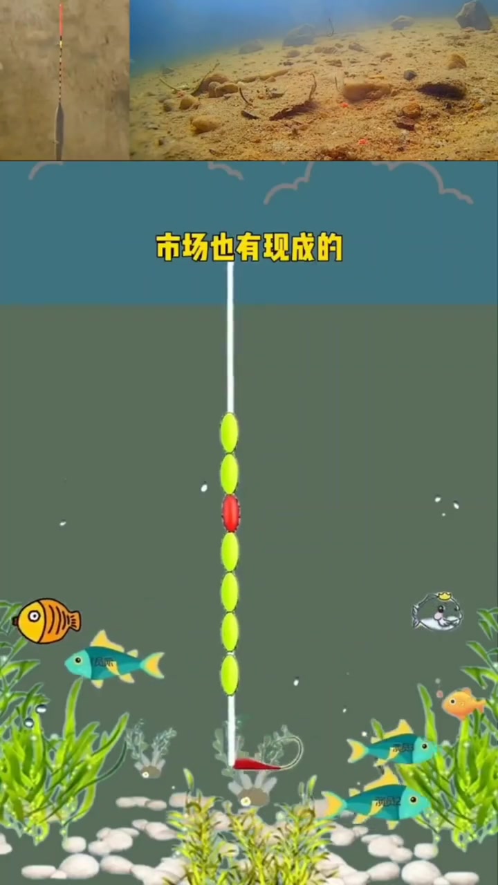 钓鱼新手必学的七星漂朝天钩野钓调平水教程