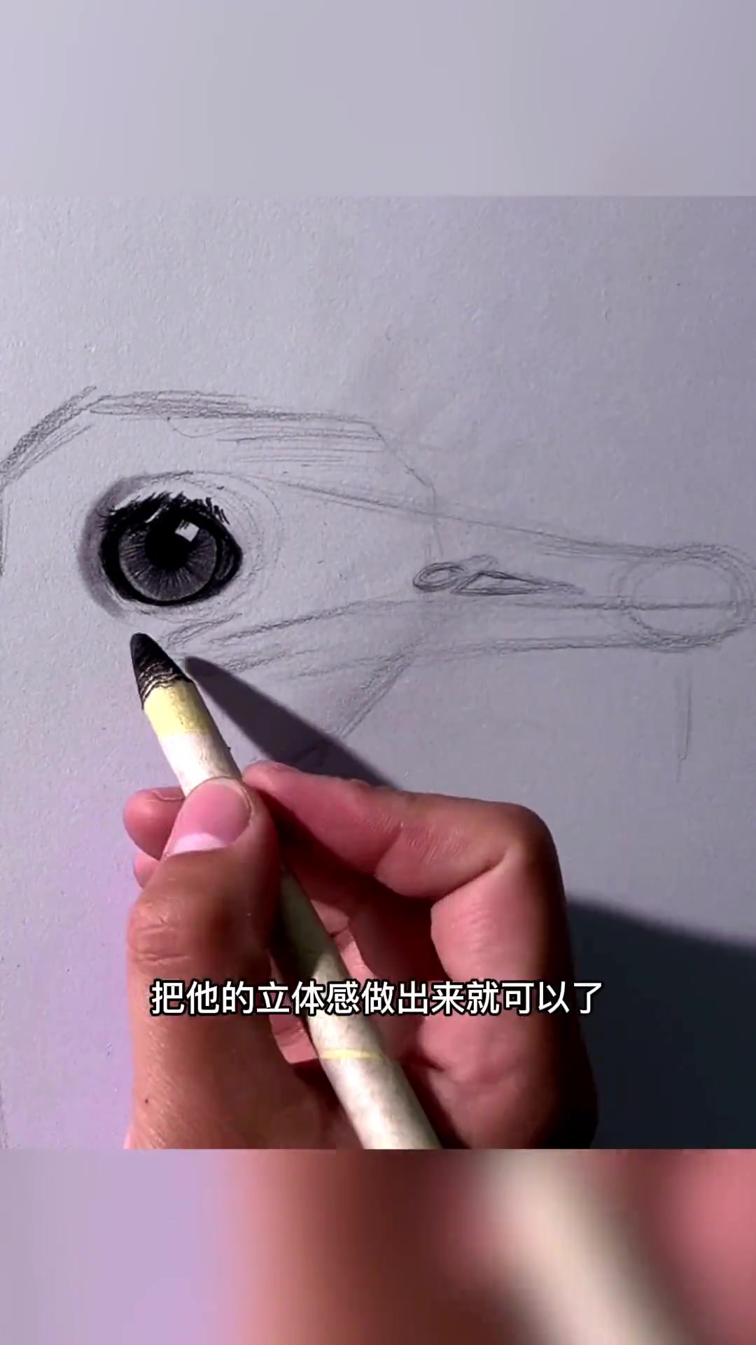 怎么画素描鸵鸟?教你画出动物绒毛质感