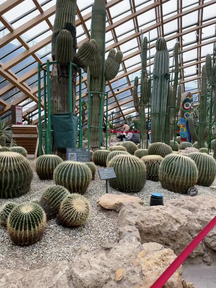 太原带娃逛植物园和面食博物馆日常