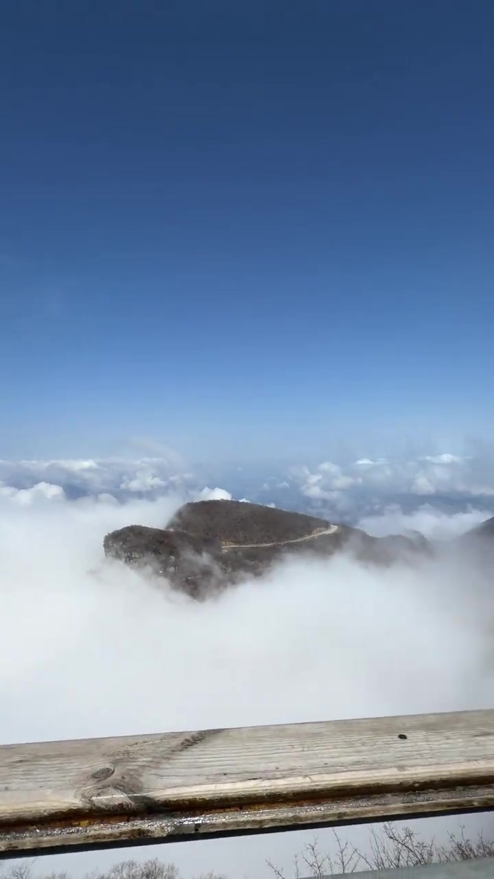 汉中油菜花超美!龙头山云层绝了热米皮好吃