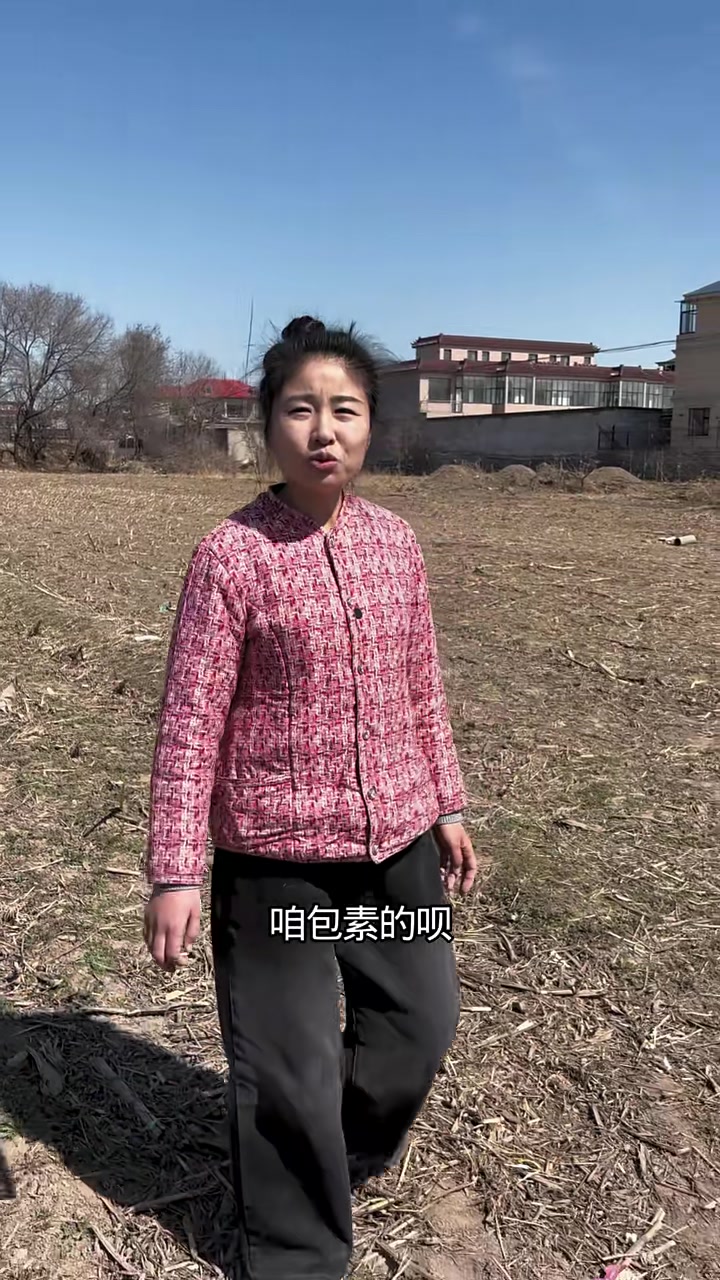 春天的第一鲜,荠菜,我一直闹不清荠菜是什么样的,这回知道了,挖了不少,包荠菜饺子吃