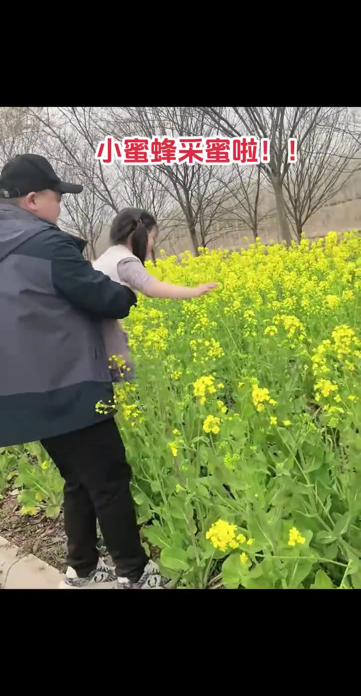 小蜜蜂采蜜啦!小蜜蜂出动采蜜啦～爸爸牌“移动花架”已就位,春天的快乐就是这么简单#小蜜蜂采