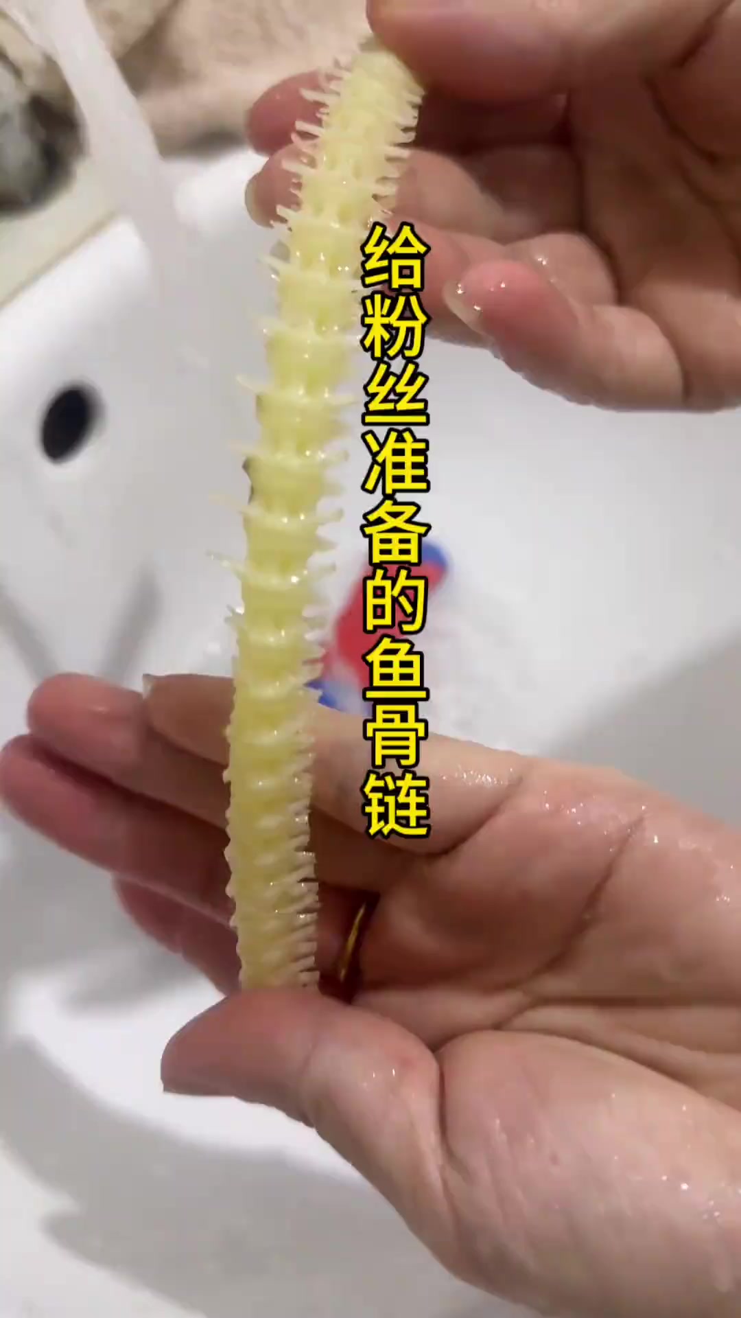 教你用3斤鲢鱼取完整鱼骨做手串