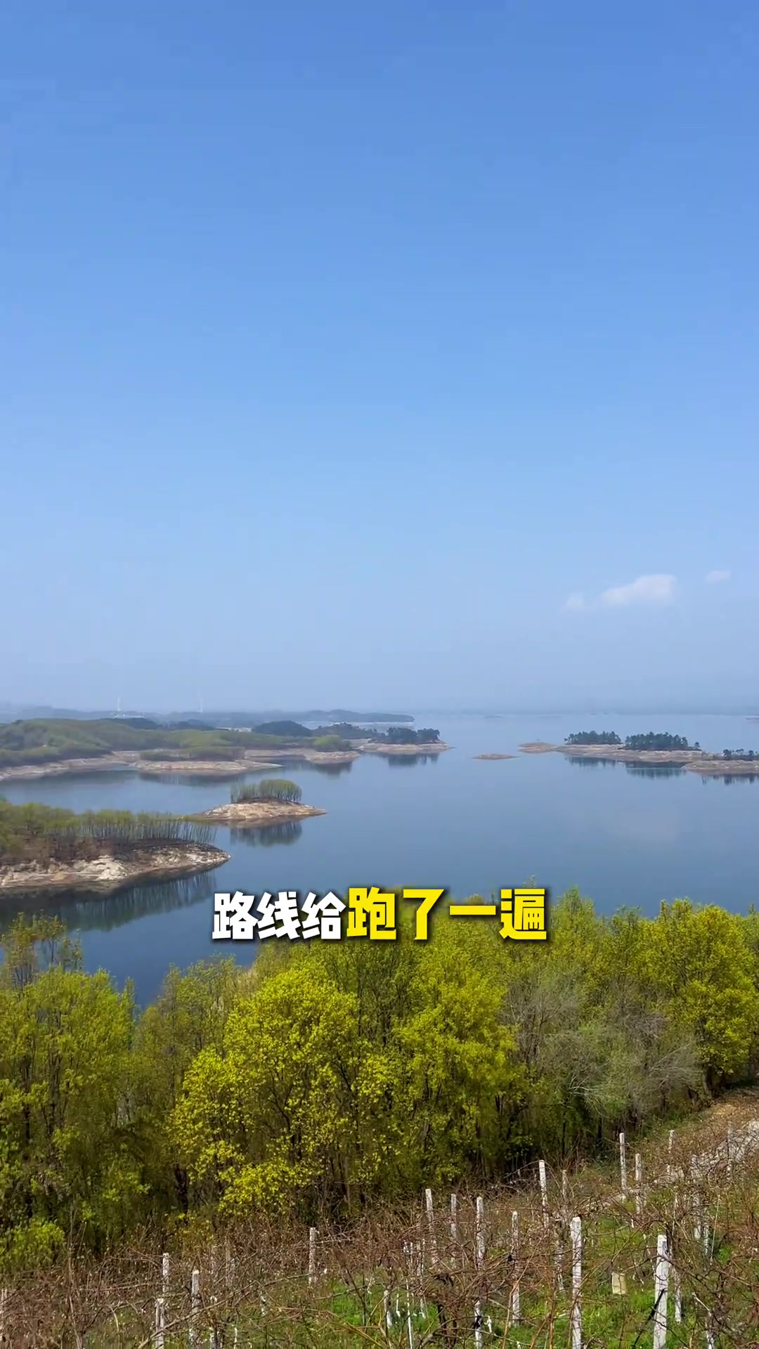 丹江口自驾不赶路 喂鸥吃鱼宴超惬意
