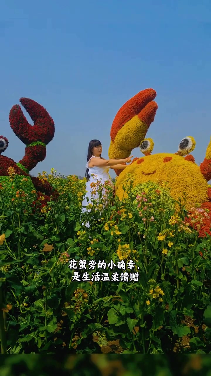泰州千垛景区，油菜花盛开的绝美之地