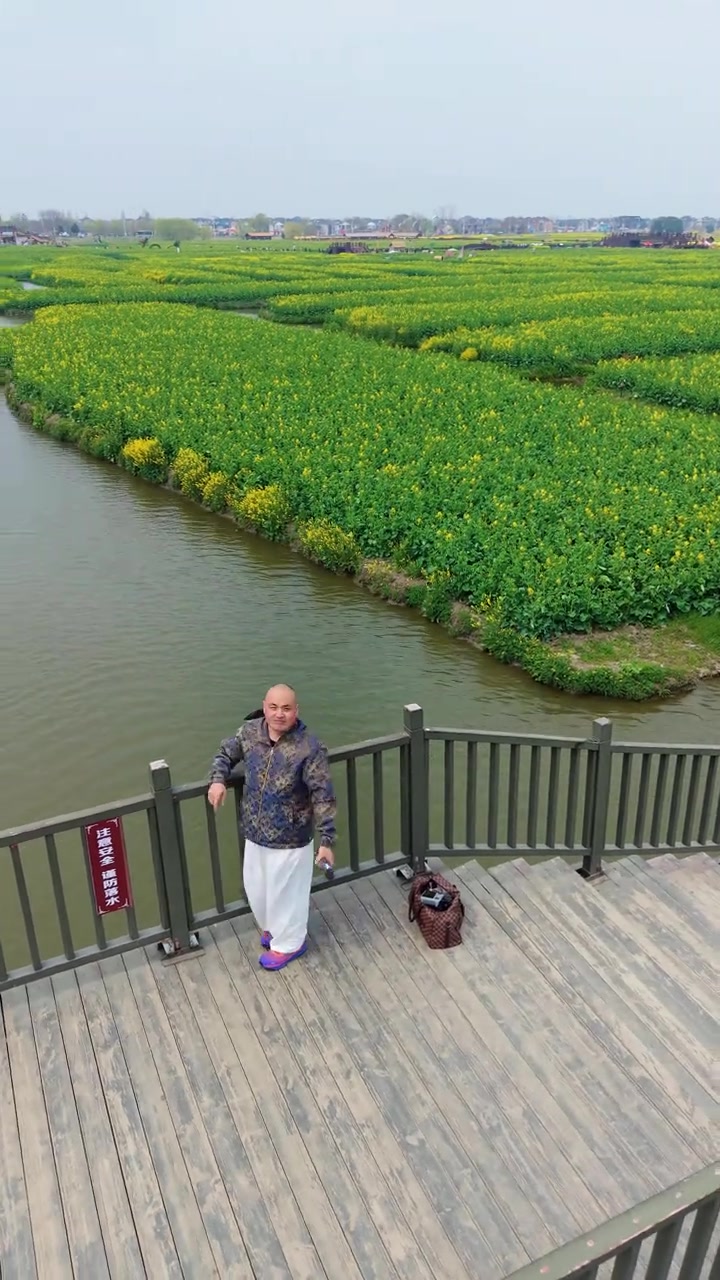 兴化千垛油菜花超美,逛花海太开心啦