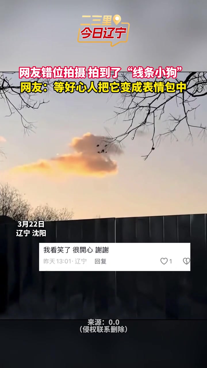 网友错位拍摄 拍到了“线条小狗”网友:等好心人把它变成起表情包中 侵权联系删除