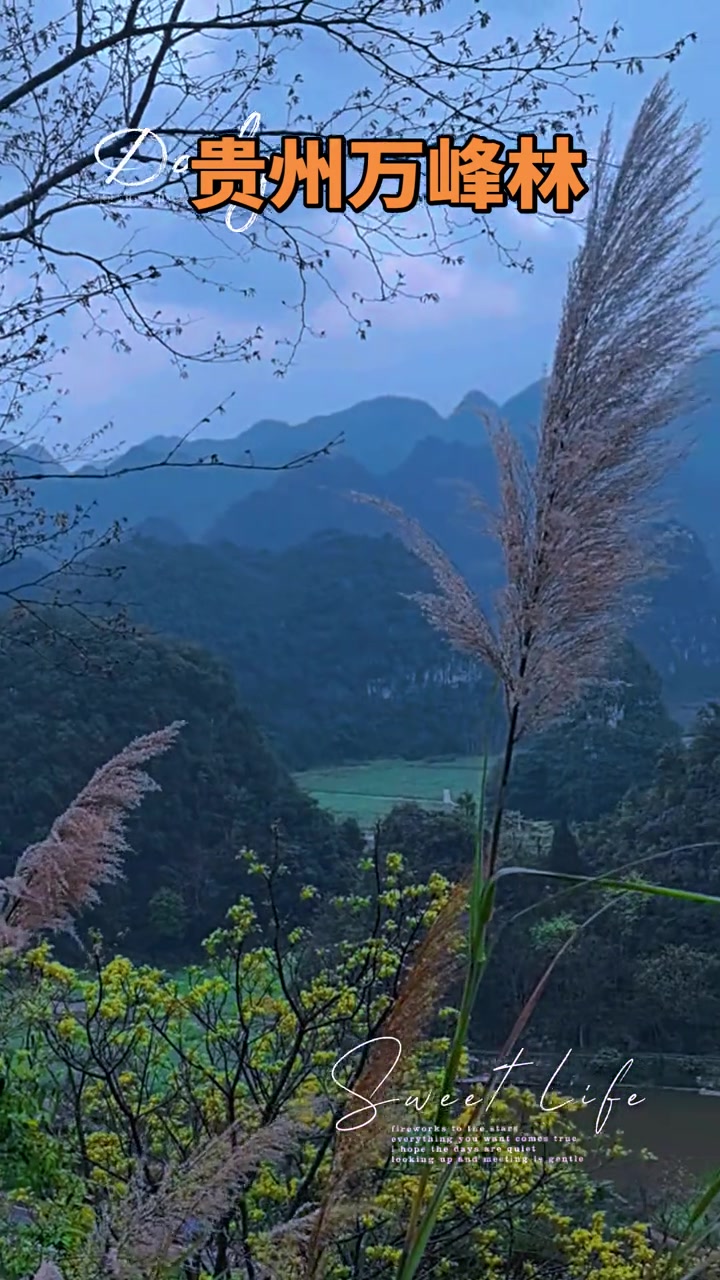 罗平金鸡峰丛的春天,走一步都像踩进油画里