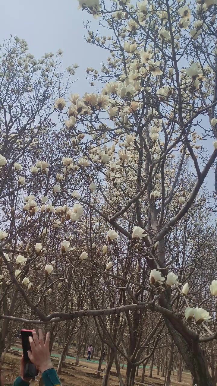北京国际雕塑公园打卡，这些雕塑真挺有意思