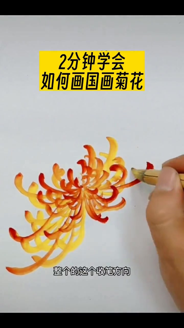 国画教你画孤标傲世又娇而不躁的菊花