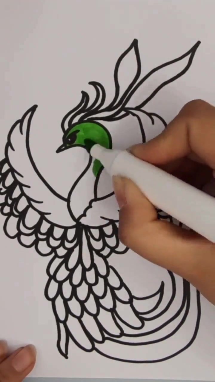 教孩子画凤凰简笔画,简单易学超好看