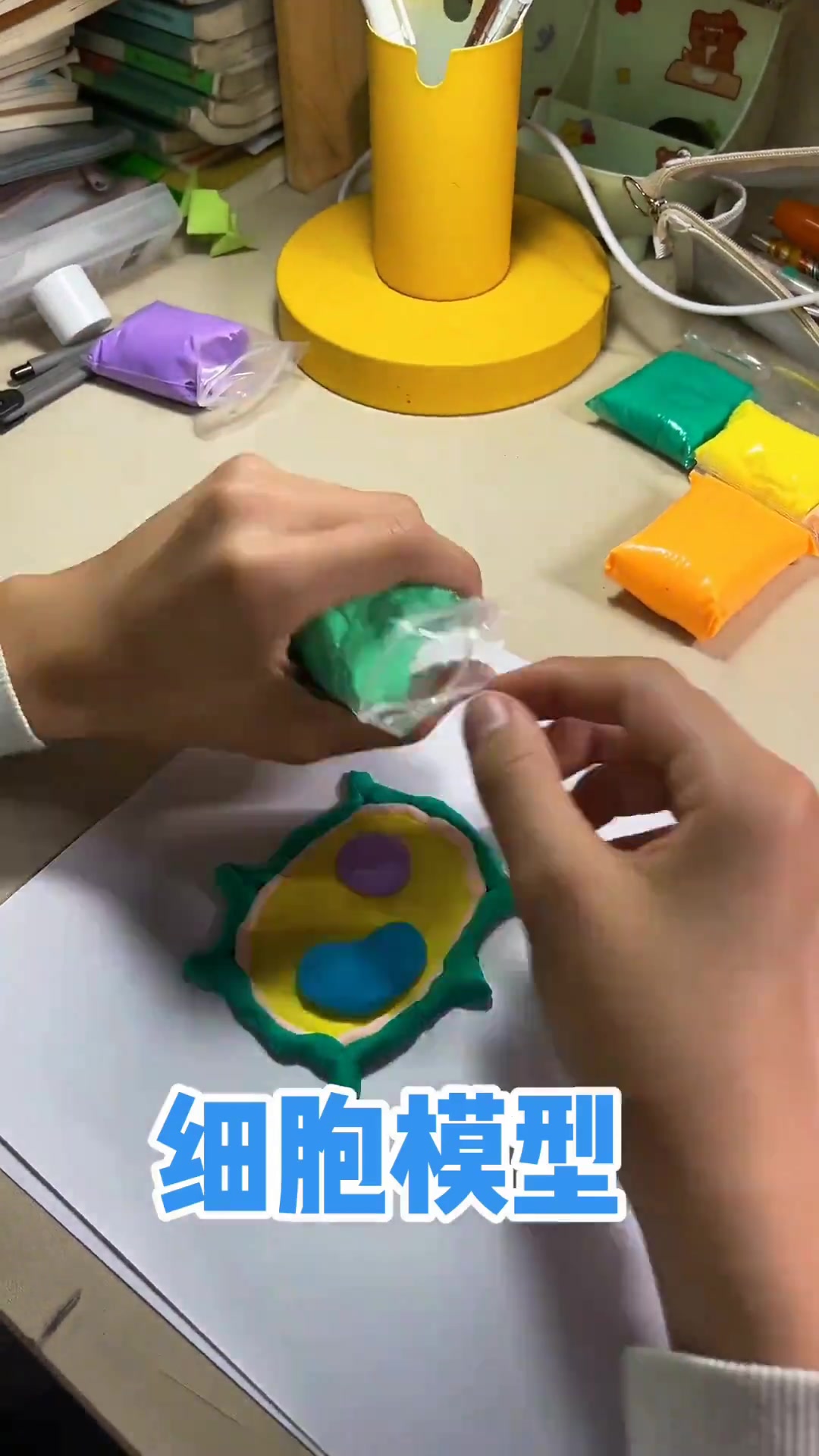 第一次拍七年级生物橡皮泥细胞模型作业