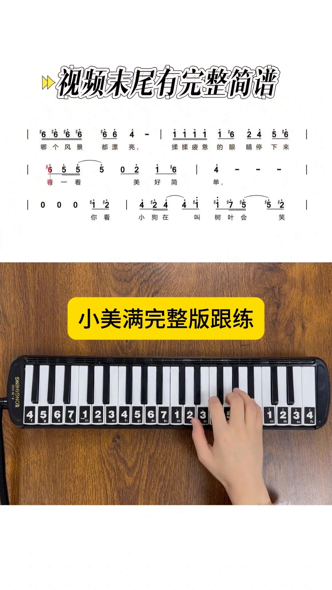 《小美满》口风琴完整版跟练，每天都要开心呀