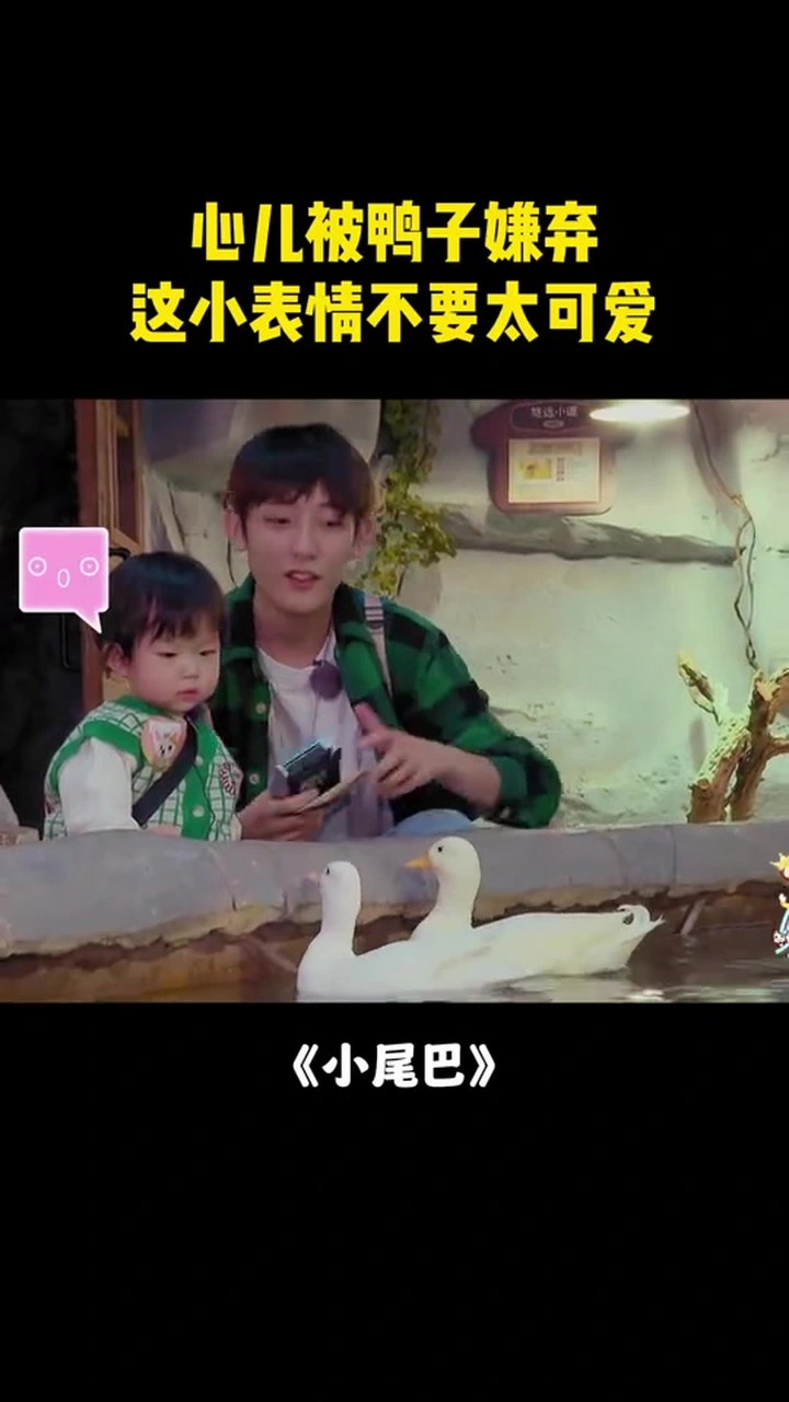 心儿被鸭子嫌弃!这小表情不要太可爱,失落极了丨小尾巴