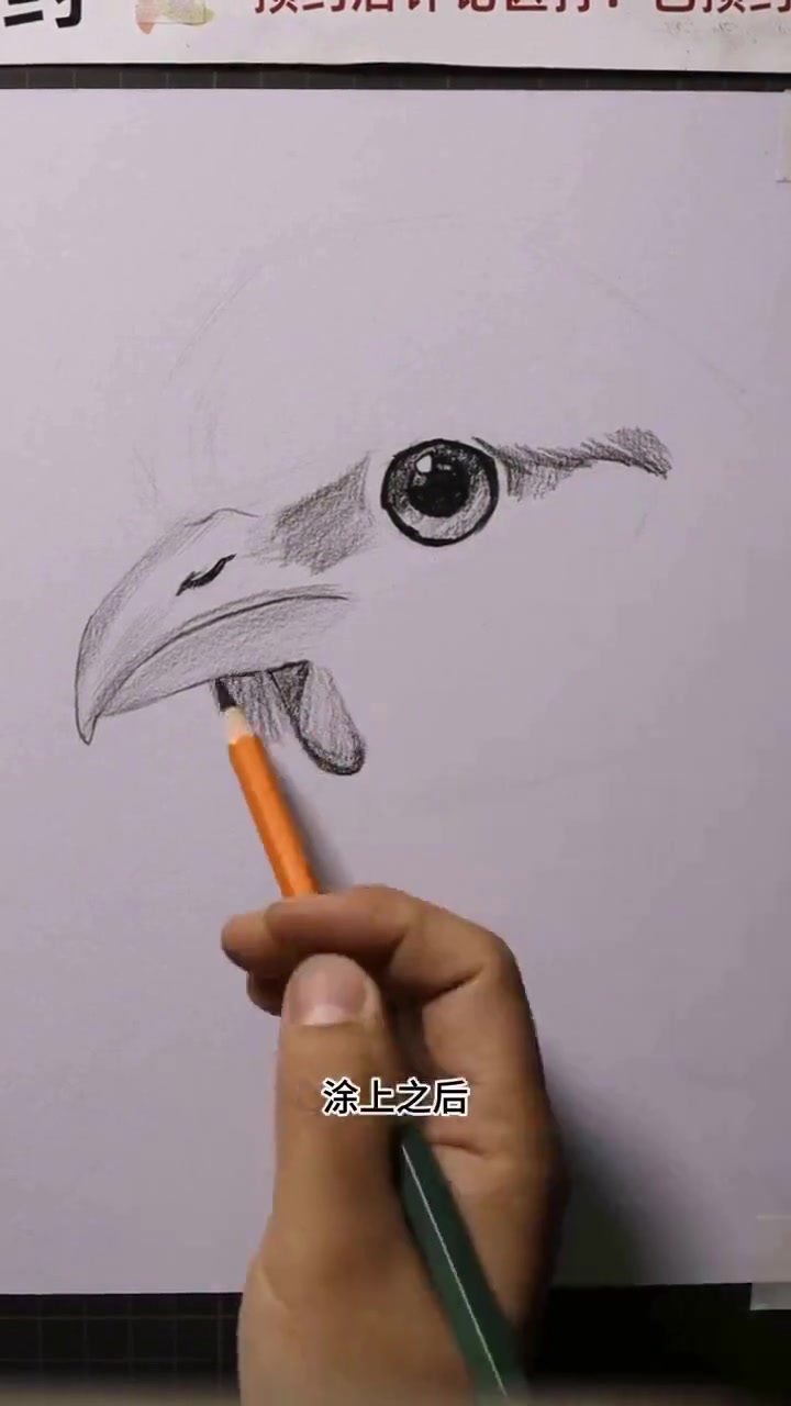 素描画萌萌哒小鸡咋画?提白用白炭笔