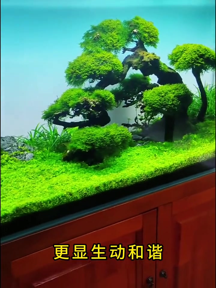 这款蓝白渐变的高清自粘背景贴纸,非常适合用于家庭鱼缸,为你的水族箱增添一抹清新自然的色彩