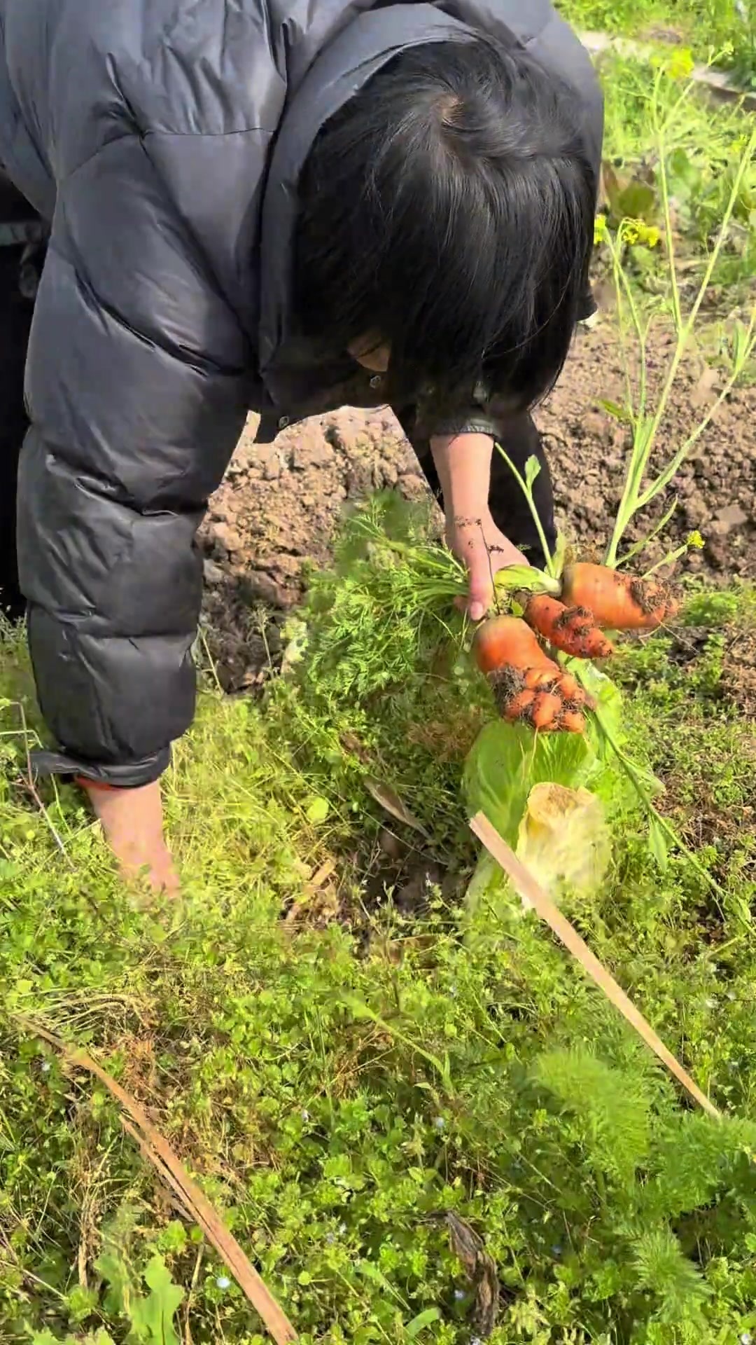舟山安康鱼片,松软鲜嫩,越嚼越香江西
