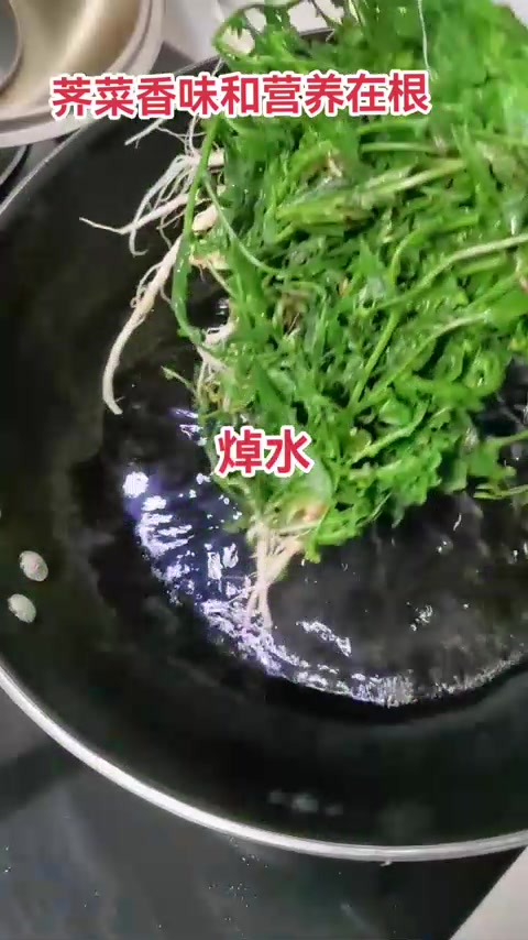 老荠菜根营养足,焯水后包饺子包子更好