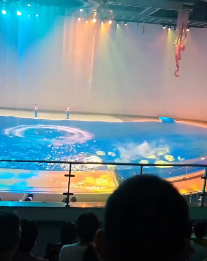 上海海昌海洋公园，一日游全攻略
