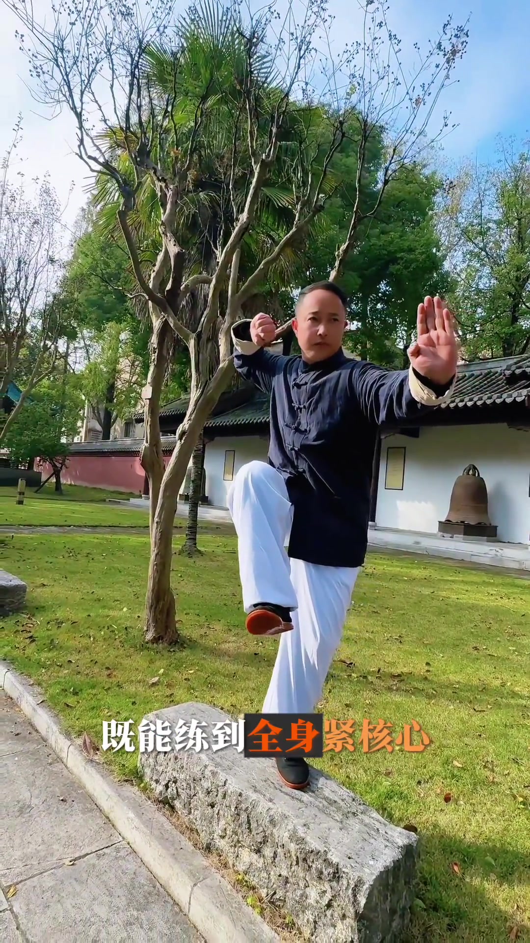 养生健康：心意门秘传独脚鸡步桩