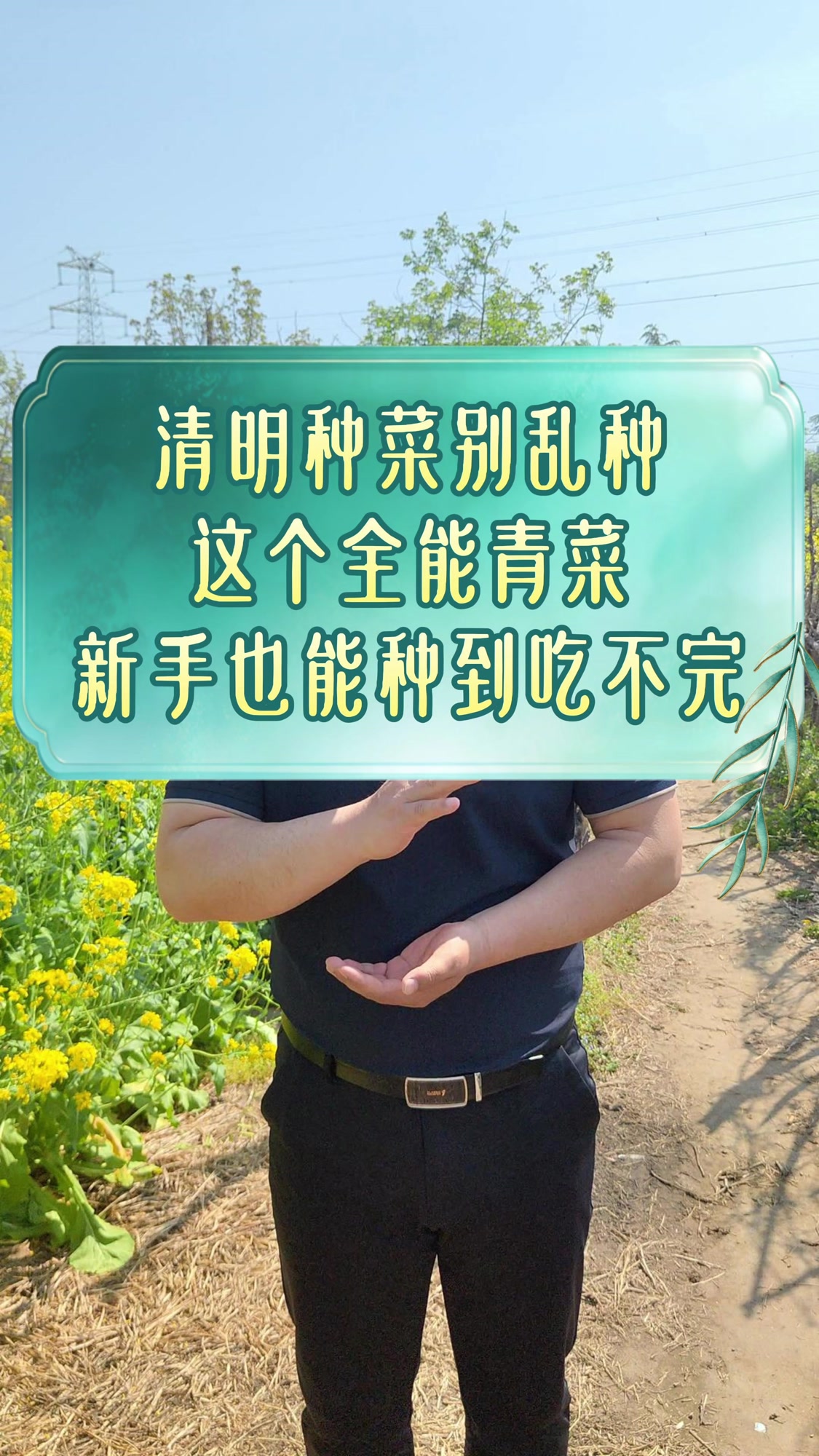 #种菜##蔬菜种植##三农##种植#