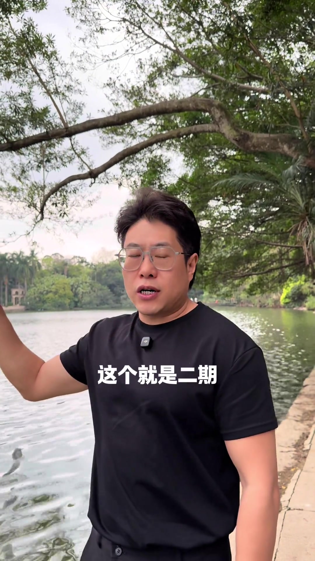 深圳天鹅湖花园,顶级豪宅市场遇冷,原因何在?