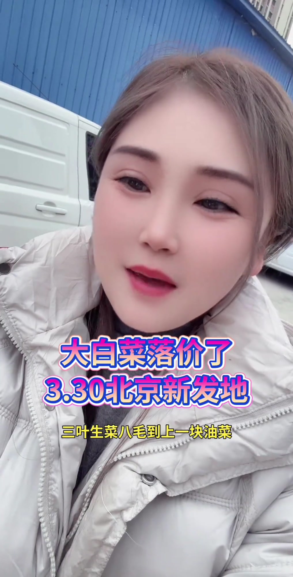 大白菜价格回落，每斤仅需两毛！北京