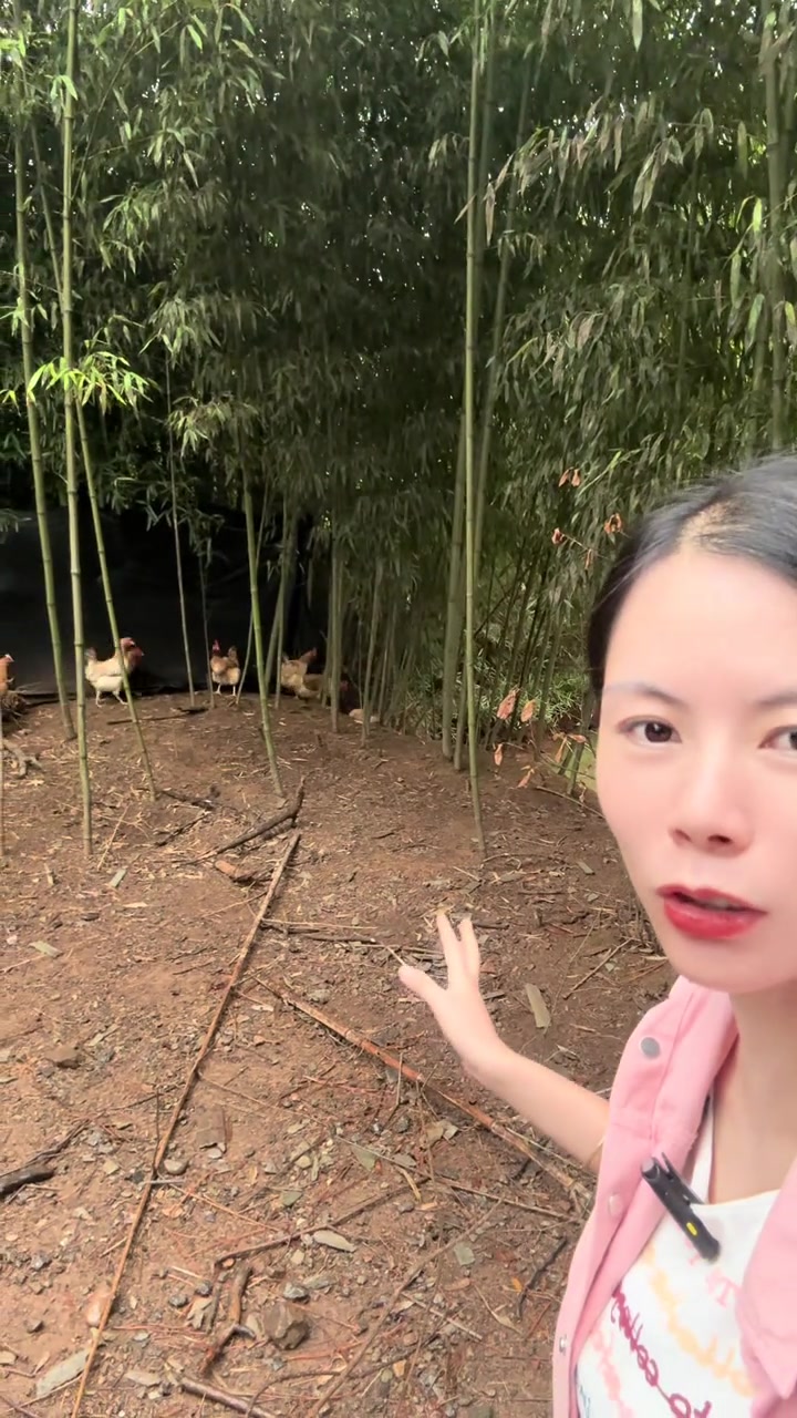 为什么和小时候的不一样?龙游鸡真的听不懂衢州话吗?