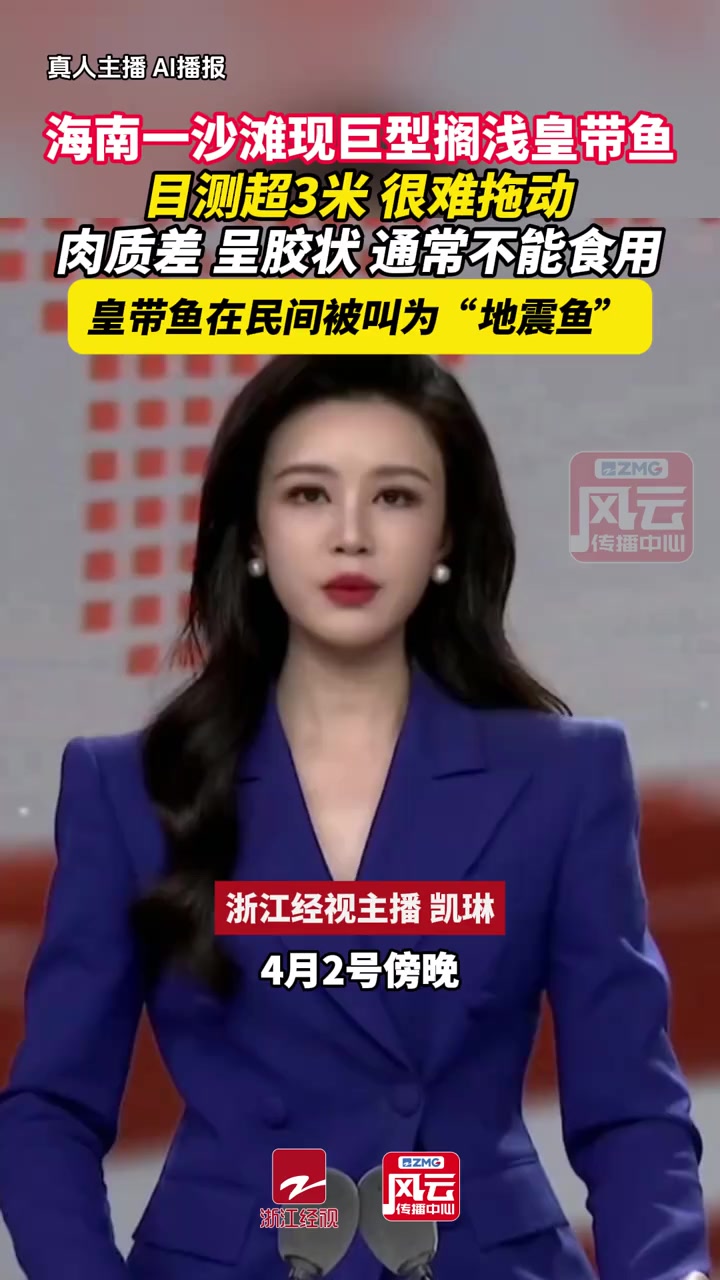 海南一沙滩现巨型搁浅皇带鱼,目测超3米,很难拖动。肉质差,呈胶状,通常不能食用。皇带鱼在民
