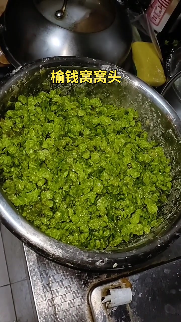 你吃过榆钱窝窝头吗？#榆钱 #榆钱窝窝头有喜欢吃的吗 #榆钱馍馍出锅了 #榆钱窝窝