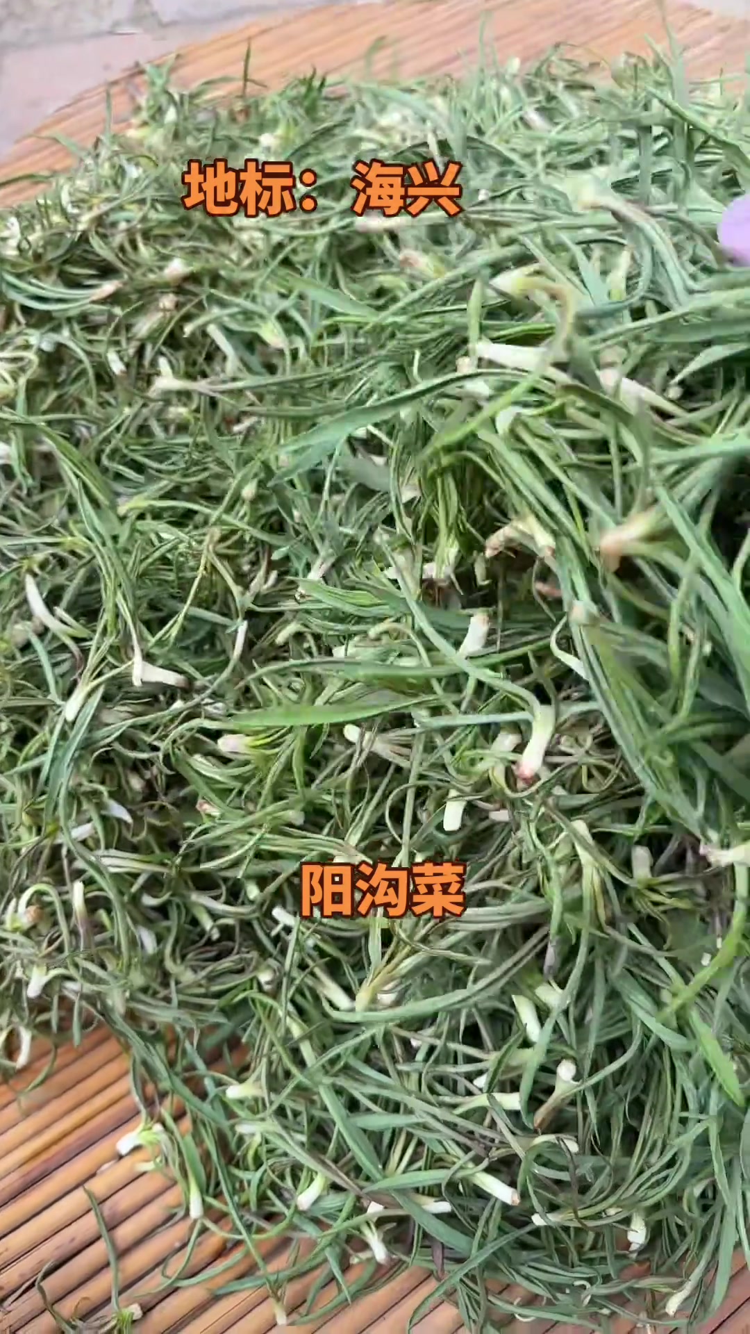日常随拍,记录生活点滴。海兴