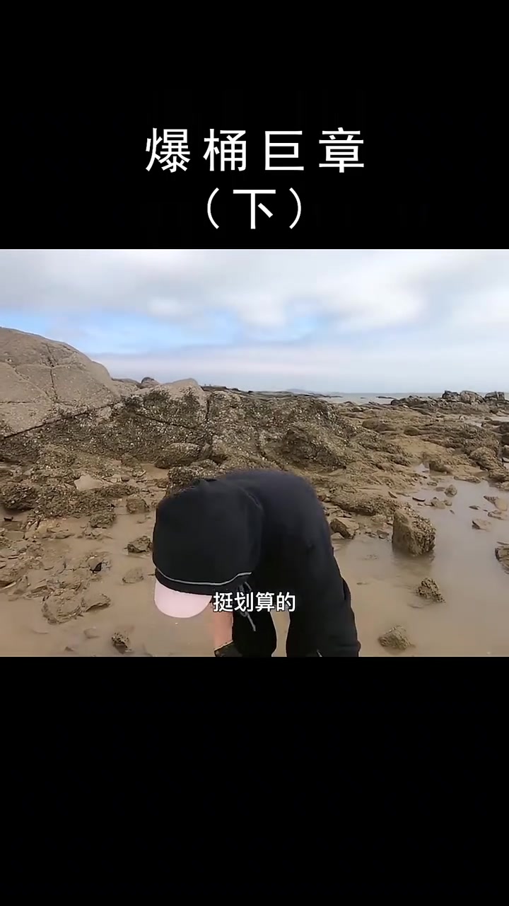 #记录我的海边生活 #真实赶海记录 #平凡之路满电奔赴 #户外抓鱼