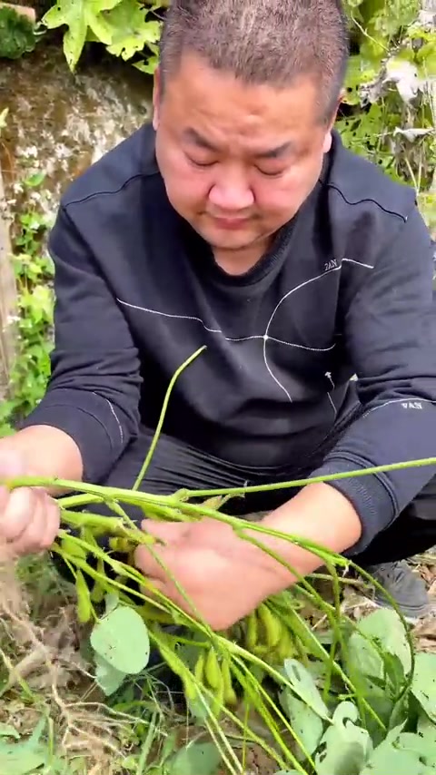 老爸种的蔬菜,好吃又放心,丝瓜炒笋干,喜欢的点赞收藏哦
