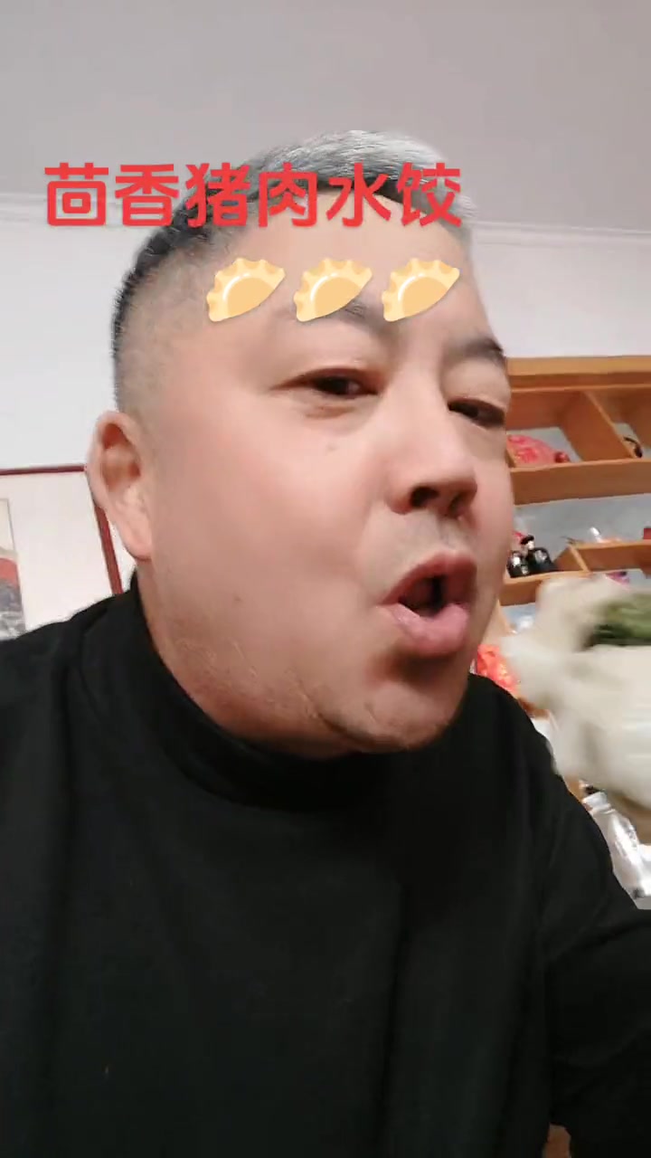 茴香猪肉水饺，吃着真得劲