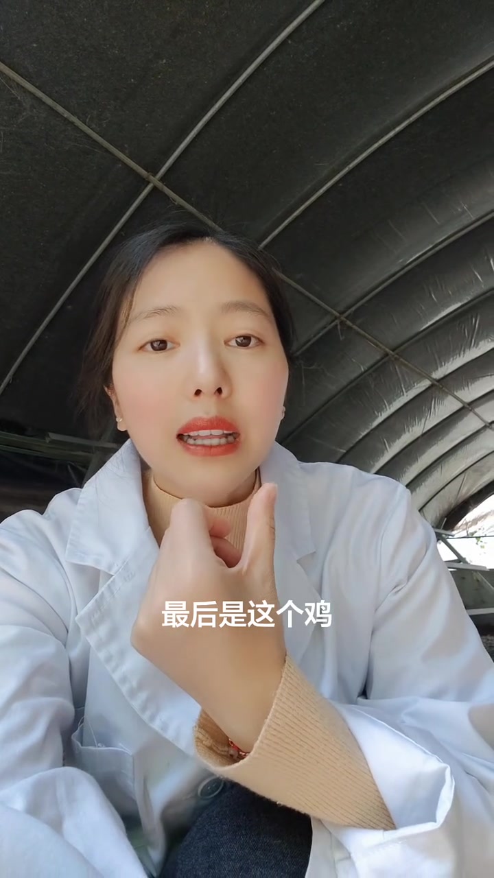 想要散养绿壳蛋鸡,产蛋率高,一定要选择香鸡五号绿壳蛋鸡#蛋鸡养殖 #养鸡技术 #香鸡五号 