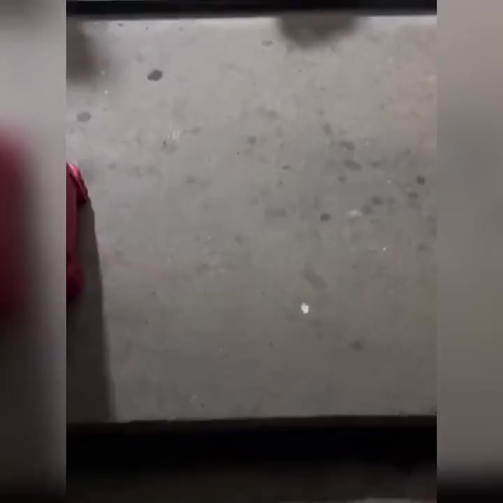 全国网友都在找这个小女孩她家的店铺地址都想去找她买东西