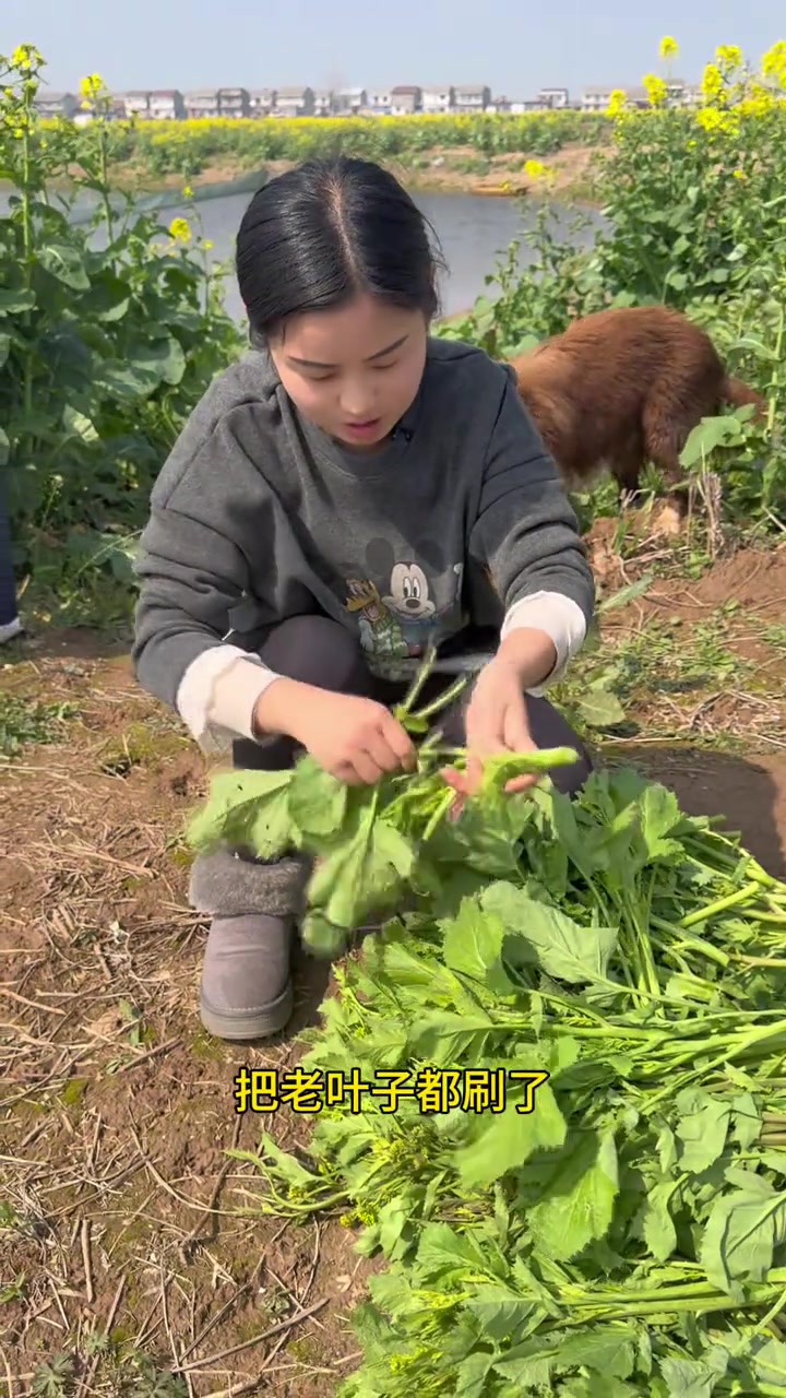 这是一道专属于春天的美味！可惜你不是湖北人，你不懂这个菜在湖北人心目中的含金量！可以看看你