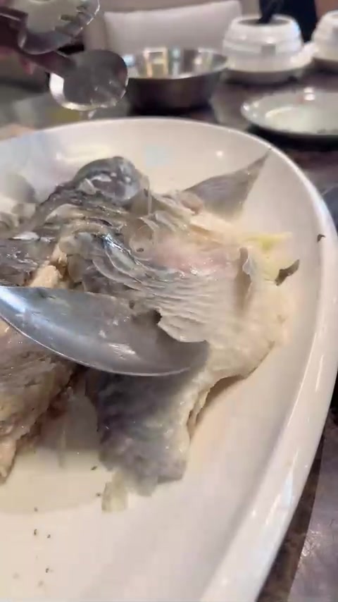 比黄金还贵的鱼鳞，野生忘不了鱼