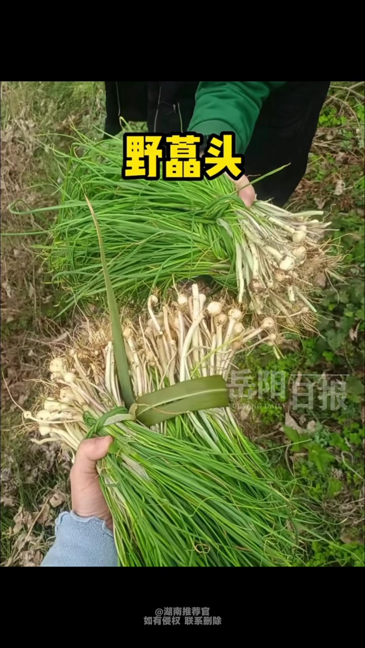 接下来我们湖南人要吃的春季限定美食！快来看看有没有你不爱吃的（编辑 秦雨婧）#春季限定美食