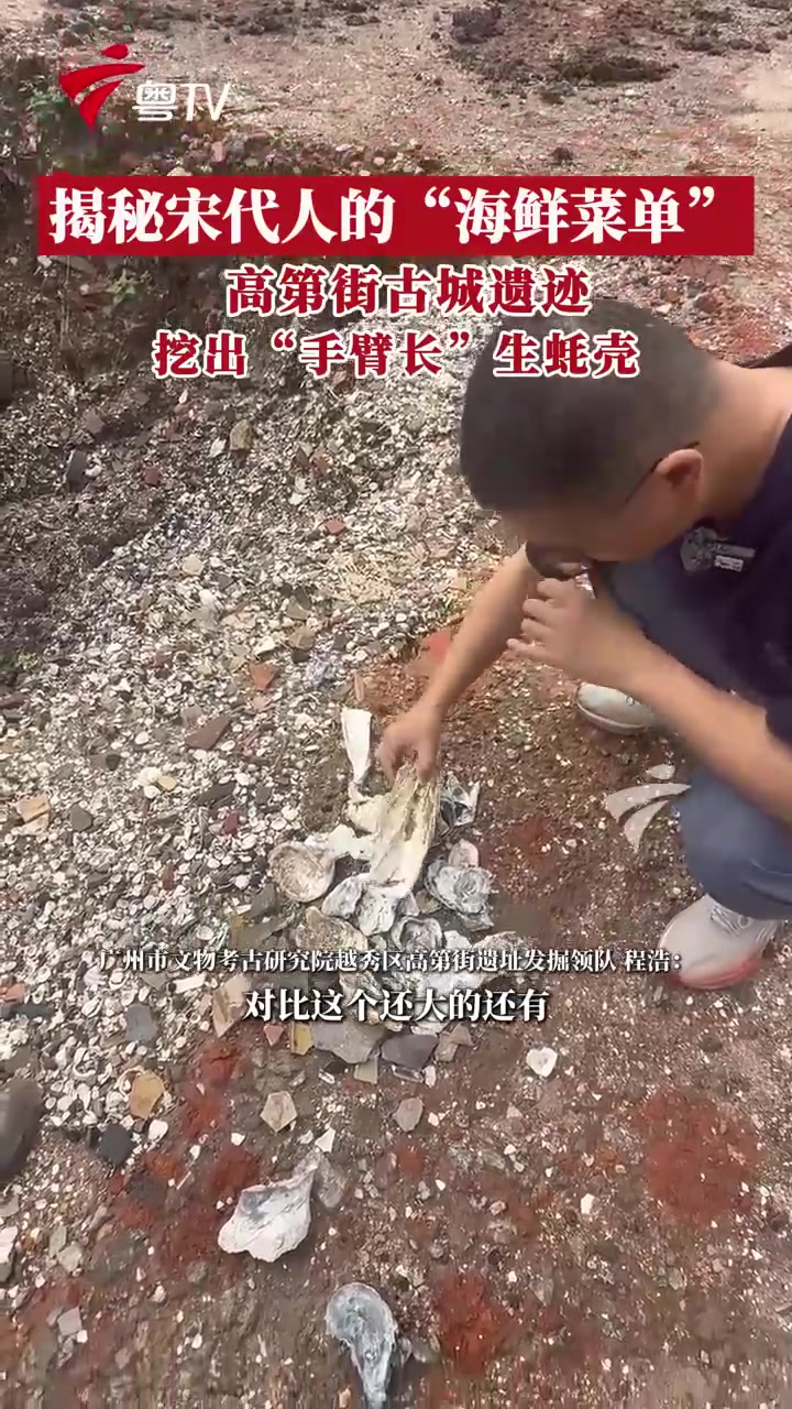 广州宋代遗迹挖出“手臂长”生蚝壳 揭秘宋人的“海鲜菜单”