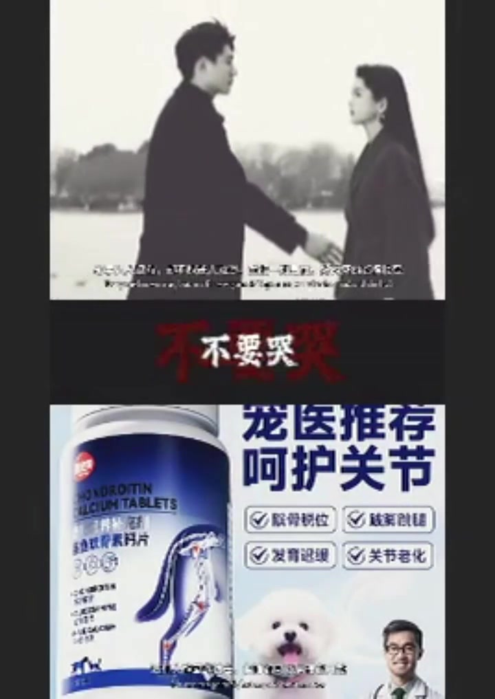 鲨鱼软骨素300片狗狗猫关节保健泰迪金毛犬猫通用宠物钙片软骨素 #小猫可以治愈一切 #萌萌