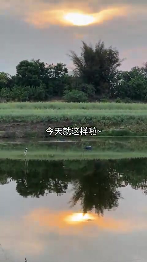 酸菜鱼又酸又菜又多鱼