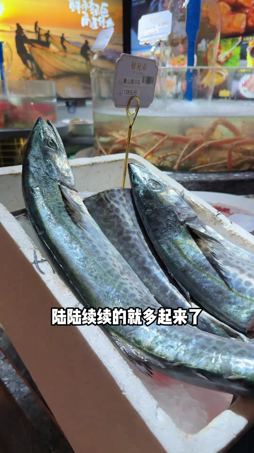 蓝点马鲛鱼配咸菜清汤,川乌烧咸菜宁波