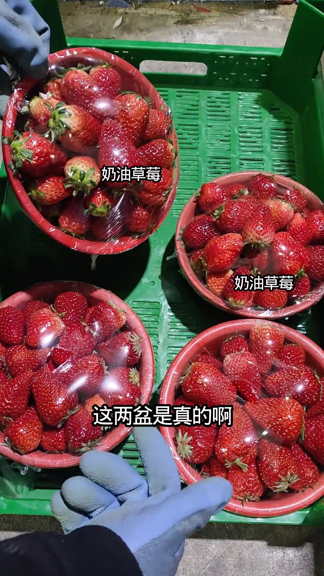 苏州南环市场采购日记,教你挑选新鲜食材!