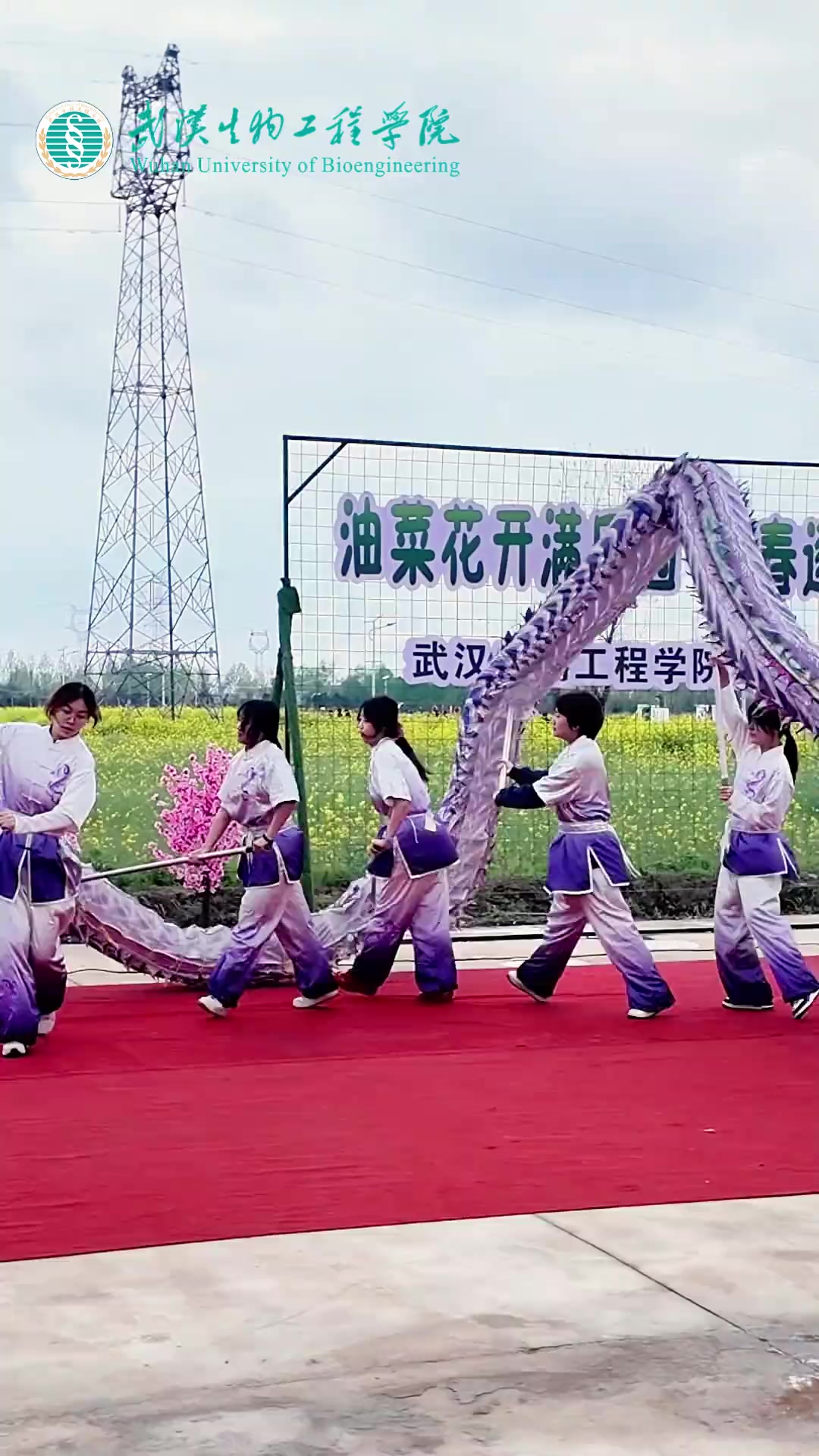 武汉生物工程学院油菜花节开幕