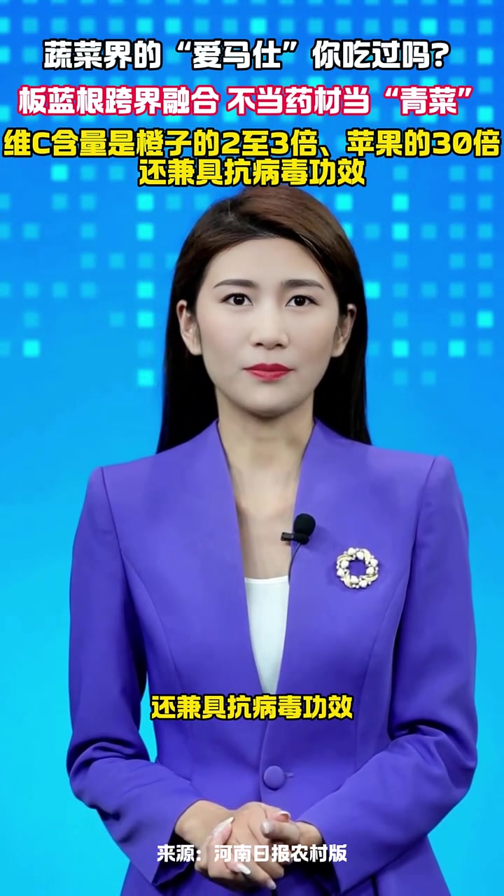 板蓝根跨界融合 不当药材当“青菜” 维C含量是橙子的2-3倍 苹果的30倍 还兼具抗病毒功